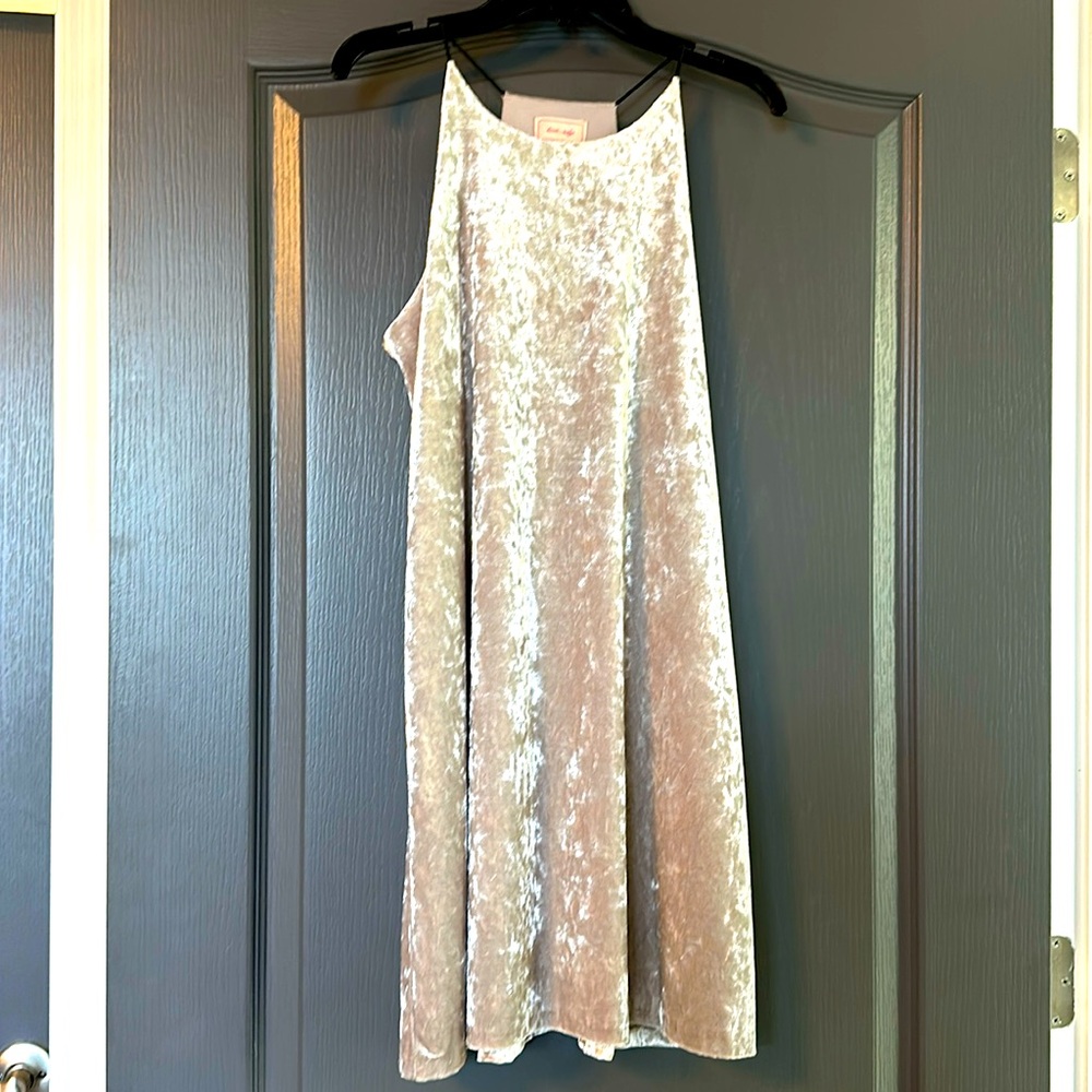 Love….ady Nude Velvet Dress size Small